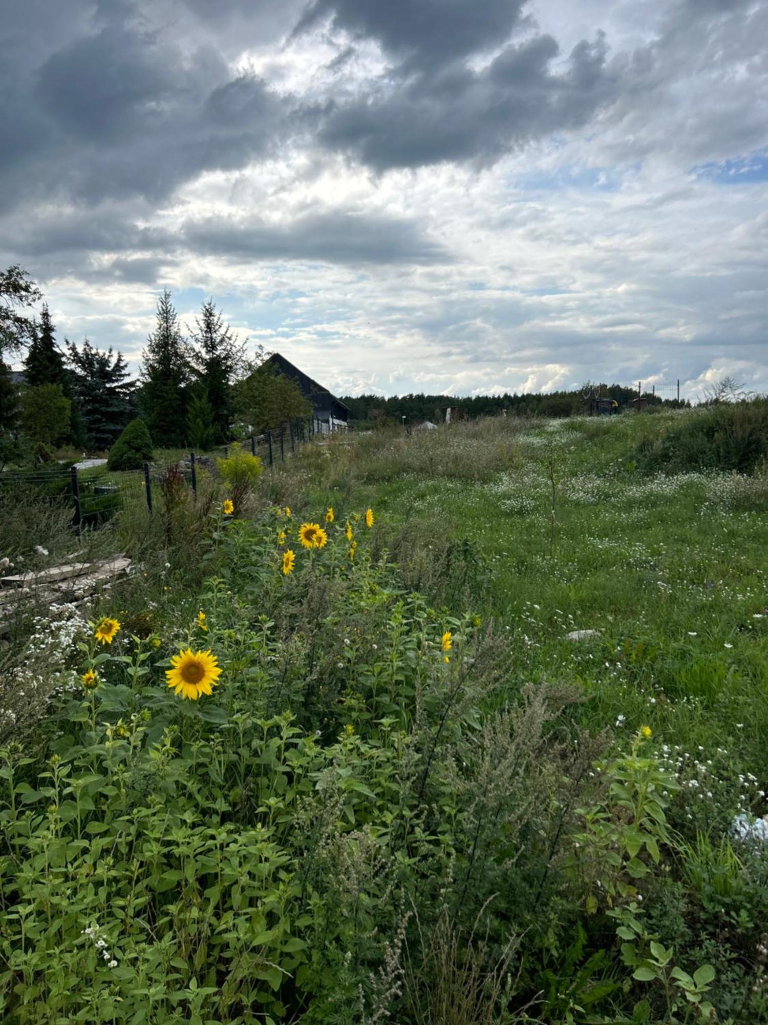 דירות Mikołajki Nowa Stodola Koniec Swiata מראה חיצוני תמונה